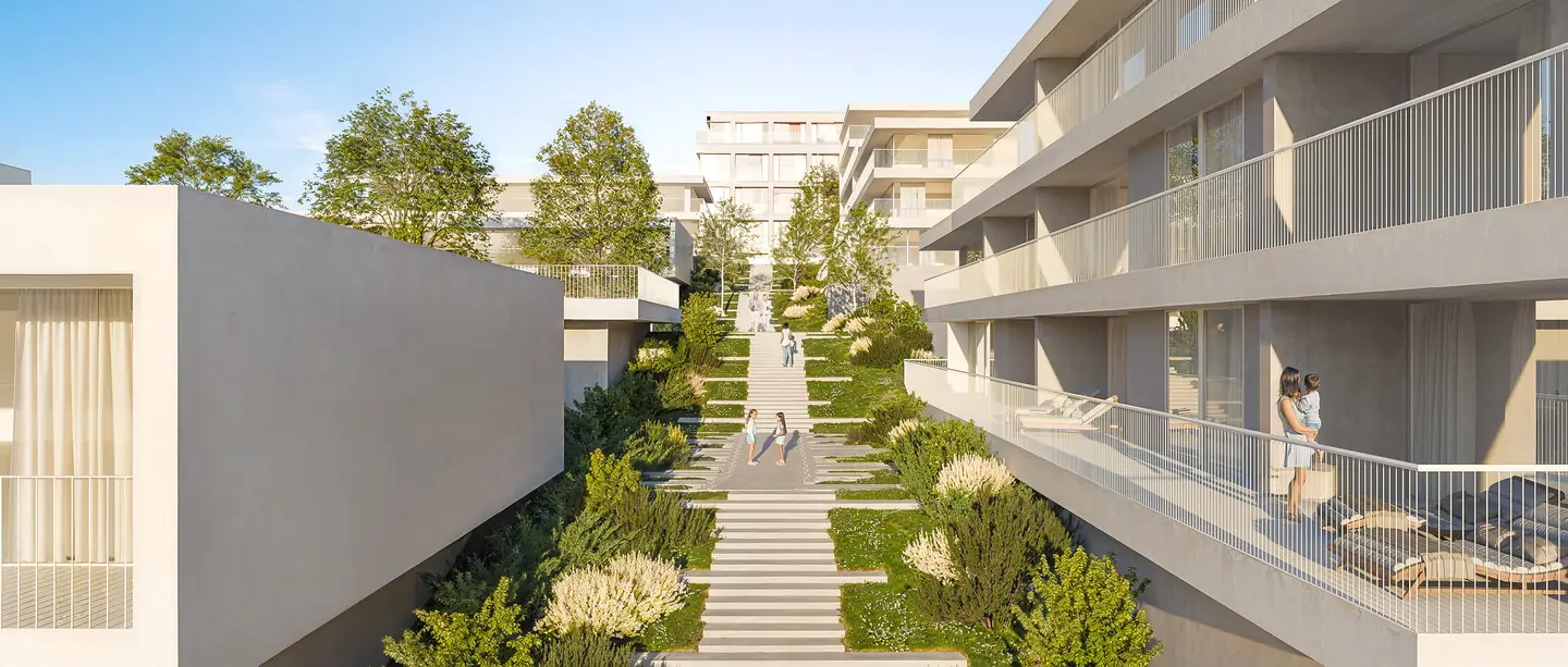Garden walkway and steps between the residential buildings